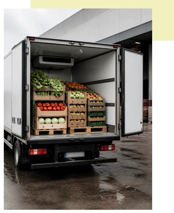 Овощи и фрукты: рефрижератор в Саров по цене от 5208 р. | Агросервис-Сро