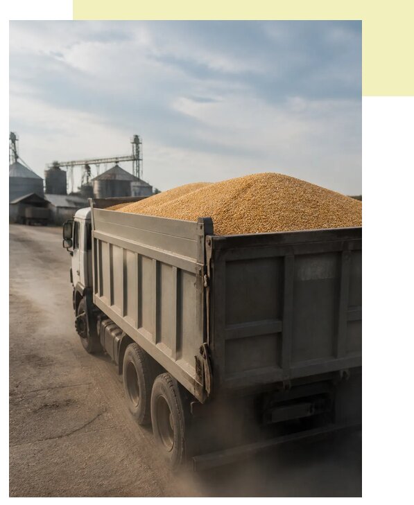 Перевозка сельхозпродукции навалом в Саров по цене от 3125 р. | Агросервис-Сро